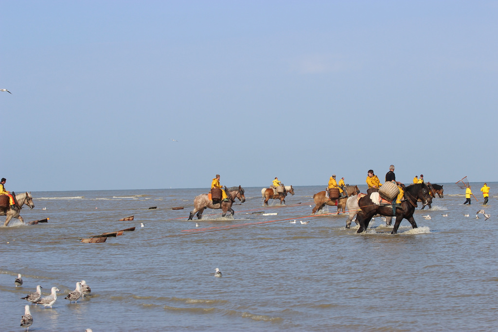 Oostduinkerke